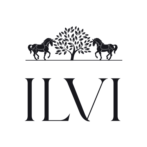 İlvi indirim kodu
